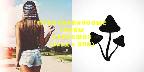 ПСИЛОЦИБИНОВЫЕ ГРИБЫ Белокуриха