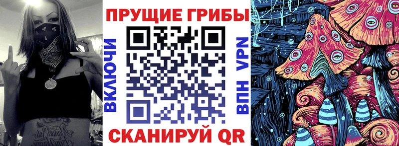 Псилоцибиновые грибы GOLDEN TEACHER  как найти   Волосово 